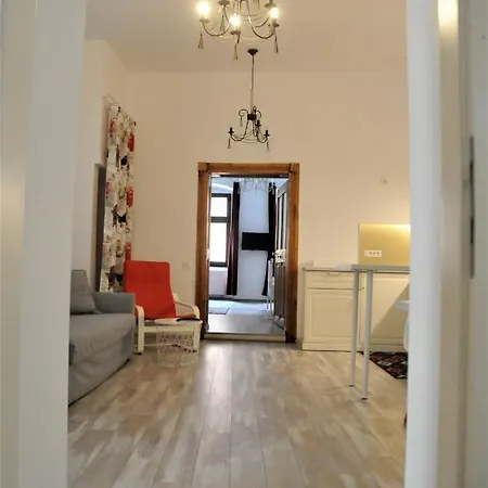 Hirscher Apartments Brasov Exterior photo